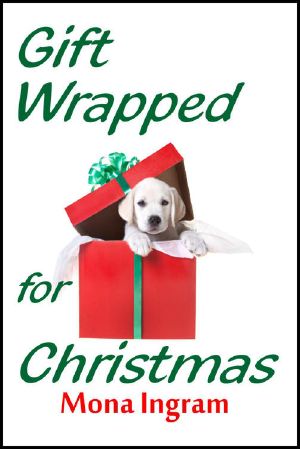 Gift Wrapped for Christmas · A Contemporary Romance