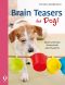 Brain Teasers for Dogs · Quick and Easy Homemade Puzzle Games