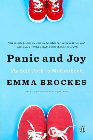 Panic and Joy, My Solo Path to Motherhood