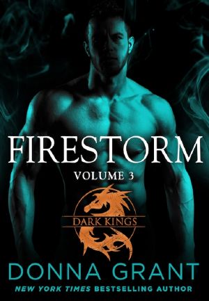 Firestorm · Volume 3