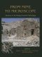 From Mine to Microscope · Advances in the Study of Ancient Technology