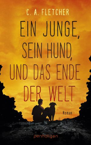 Ein Junge, sein Hund und das Ende der Welt