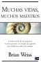 Muchas vidas, muchos maestros