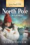 Love Finds You in North Pole, Alaska