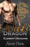 Wind Dragon (Element Dragons Book 2)