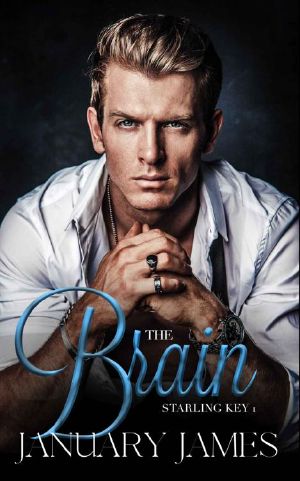 The Brain: An enemies-to-lovers romance (Starling Key Book 1)