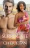 The Billionaire's Surrogate · A BWWM Pregnancy Love Story