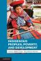 Indigenous Peoples, Poverty and Human Development in Latin America Hardcover