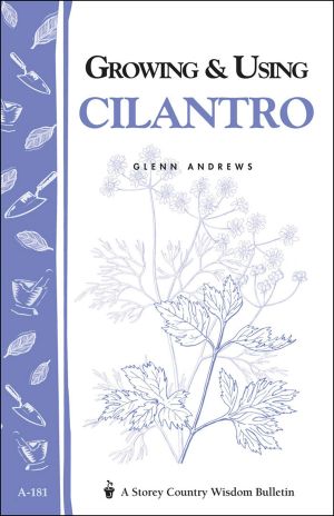 Growing and Using Cilantro