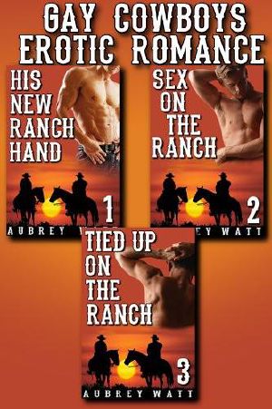 Gay Cowboys Erotic Romance 3-Pack Bundle