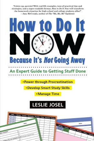 How to Do It Now Because It's Not Going Away, An Expert Guide to Getting Stuff Done