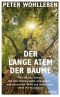 Der lange Atem der Bäume