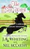 The Sea Witch (Tipperary Carriage Company Mystery Book 6)