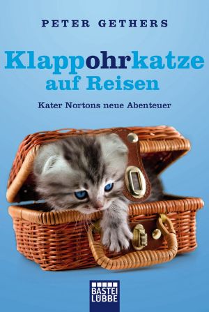 Klappohrkatze auf Reisen