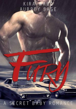 Fury · A Secret Baby Romance