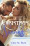 Christmas Secrets · Levi & Katie (Longing Book 1)