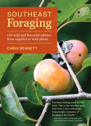 Southeast Foraging · 120 Wild and Flavorful Edibles From Angelica to Wild Plums