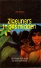 Zigeuners in ons midden