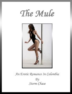 The Mule · An Erotic Romance in Colombia