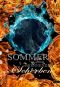 Sommer der brennenden Scherben (Sommer · Winter Saga)