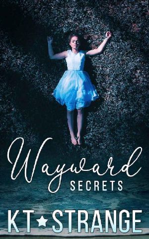 Wayward Secrets: The Raven Brothers of Fallen Mountain