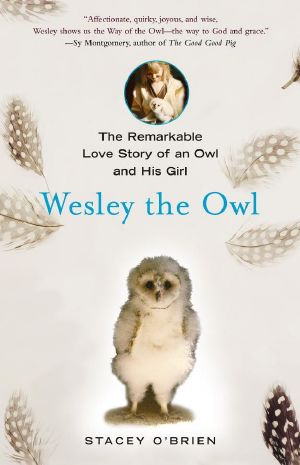 Wesley the Owl · the Remarkable Love Story of an Owl and His Girl