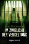 Im Zwielicht der Vergeltung