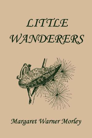 Little Wanderers, Illustrated Edition (Yesterday's Classics)