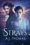 Strays