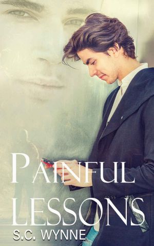 Painful Lessons: Gay Romance