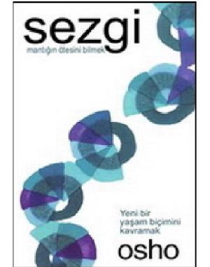 Sezgi - Mantığın Ötesini Bilmek