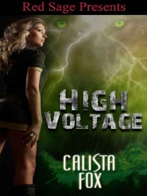 High Voltage