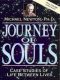 Journey of Souls