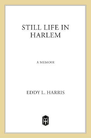 Still Life in Harlem