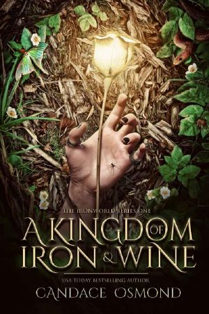 A Kingdom of Iron & Wine · New Adult Fantasy Romance (The Ironworld Series Book 1)