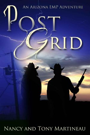 Post Grid · An Arizona EMP Adventure