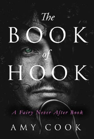 The Book of Hook: A Fairy Never After Book