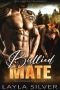 Bullied Mate: Single Dad Shifter Romance (Silverdawn Wolves Book 7)