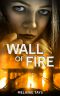 Wall of Fire: A Young Adult Dystopian Novel