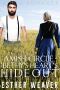 Bethy's Heart's Hideout (Amish Circle Series Book 4)