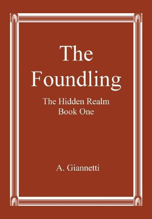 Hidden Realm 1 The Foundling