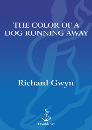 The Color of a Dog Running Away