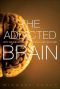 The Addicted Brain