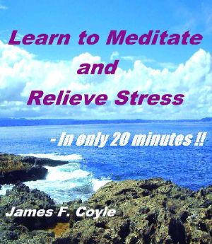 LEARN TO MEDITATE AND RELIEVE STRESS - in Only 20 Minutes!!