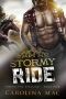 Stormy Ride (Taming the Stallion Series Book 5)