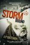 Stormbound (Alex King Book 6)