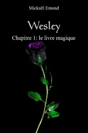 Wesley chapitre 1: le livre magique (French Edition)