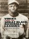 Voices From the Great Black Baseball Leagues