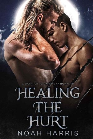 Healing the Hurt · A Dark Fated Mates Gay Romance