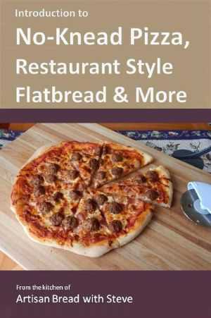 Introduction to No-Knead Pizza, Restaurant Style Flatbread & More · From the Kitchen of Artisan Bread With Steve